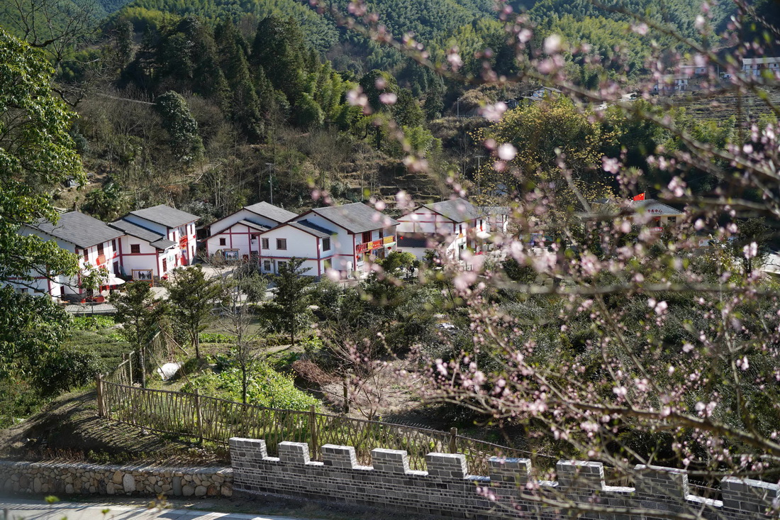 星火再燎原——來自中國首個脫貧摘帽縣井岡山的回訪