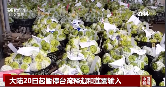 科學應對、理性溝通才是解決問題的關鍵所在