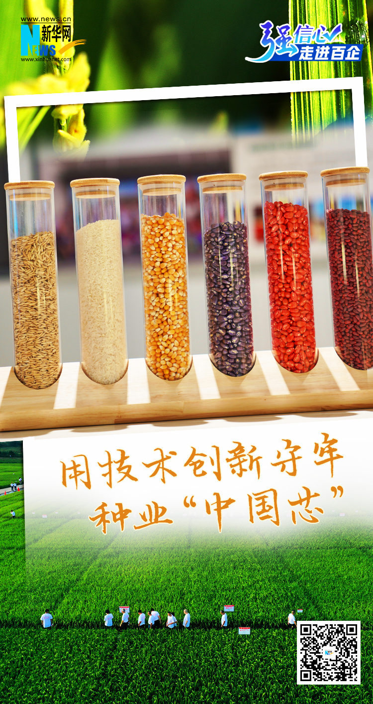 用技術創新守牢種業“中國芯”