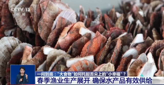 “大食物”如何托起舌尖上“小幸福”？水産養殖産業這樣發展