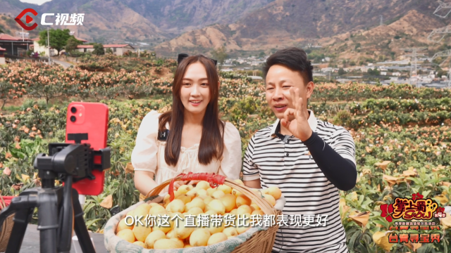 臺青尋寶秀：黃金樹上黃金果 直播助農歡樂多_fororder_ed1cb56a4678b065eee36eb0f017cd8