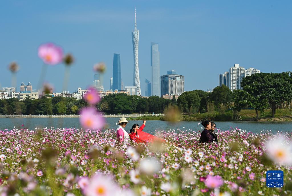 （新華全媒+）濕地之美丨廣州海珠濕地