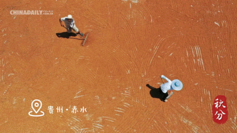 農民豐收節 | 慶豐收 迎盛會