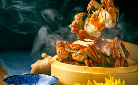 如何成為一名螃蟹雜學家？“沒用的”知識又增加了