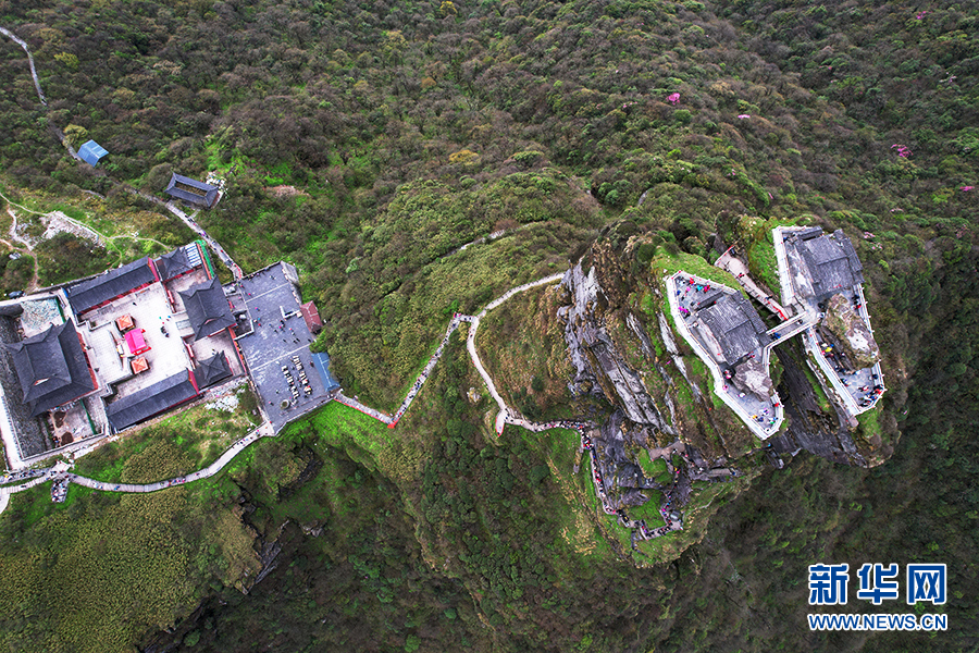 貴州梵凈山：杜鵑花開迎客來