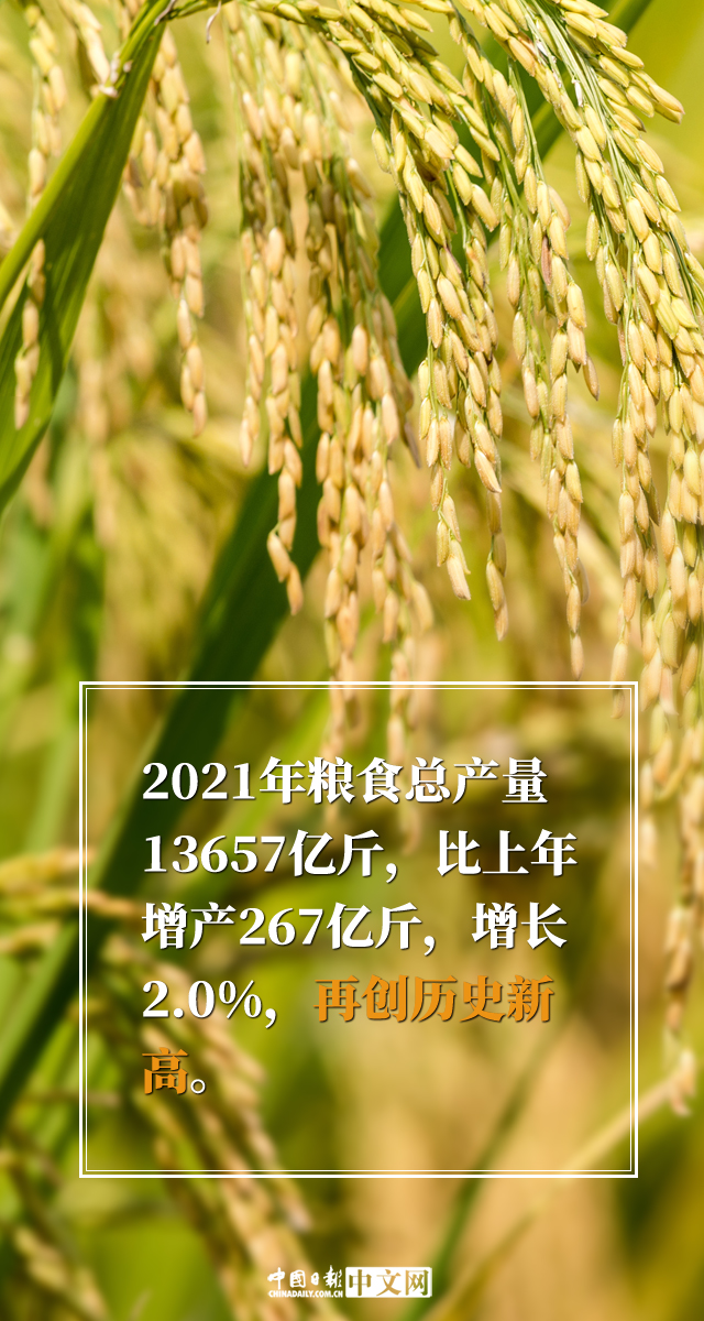 【圖説中國經濟】多個第一！中國這份成績單很亮眼
