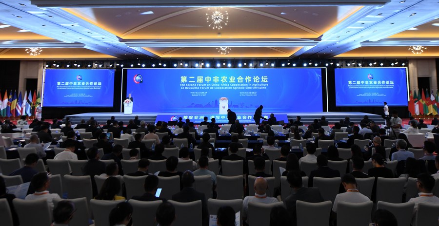 “雜交水稻之父”的夢想正在非洲實現