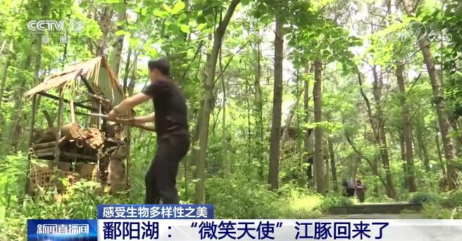 中國生物多樣性保護取得明顯成效 一起來感受生物多樣性之美！