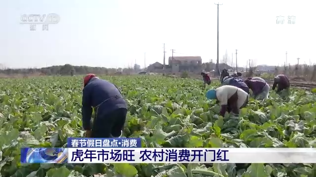 “年味兒”如何找？春節假日出遊消費大盤點！