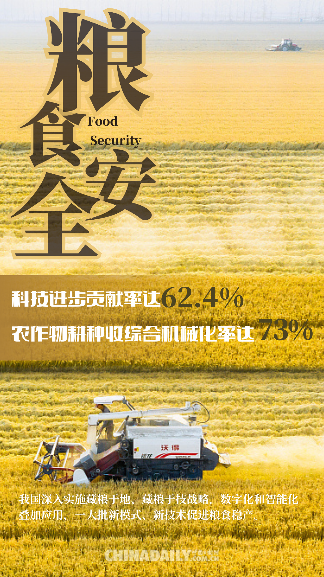 糧食安全根基牢 “中國飯碗”端的穩