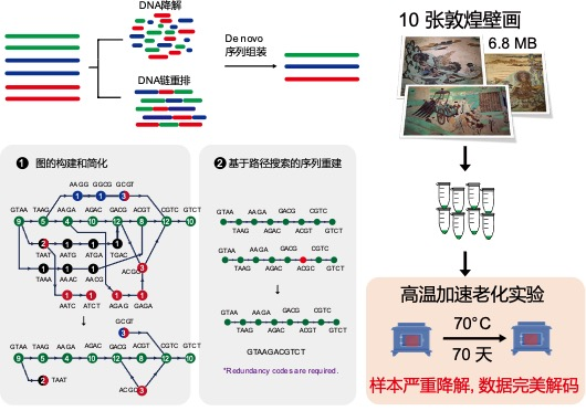 創新DNA存儲演算法讓千年敦煌壁畫可再保存2萬年