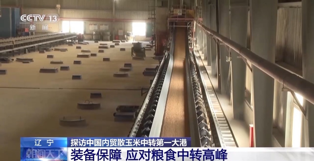 超6000萬噸！全國秋糧收購有序展開