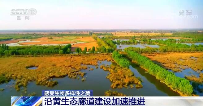 中國生物多樣性保護取得明顯成效 一起來感受生物多樣性之美！