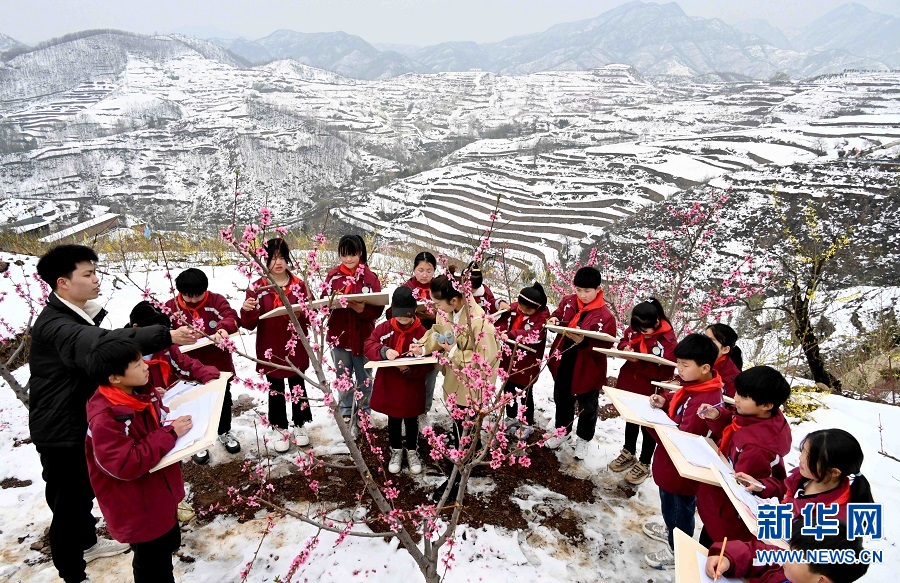 山村桃花雪中紅