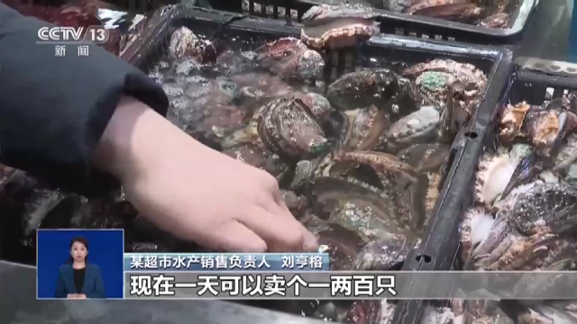 “大食物”如何托起舌尖上“小幸福”？水産養殖産業這樣發展