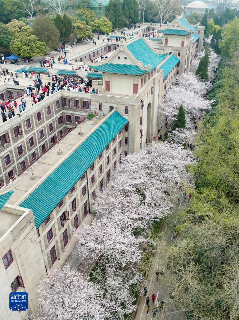 武漢大學邀請抗疫醫護人員賞櫻