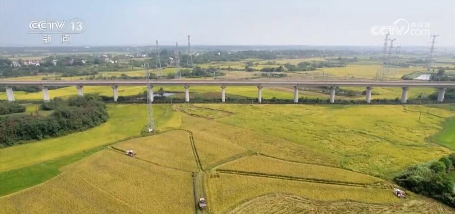 秋收時節好“豐”景 五穀蕃熟穰穰滿家