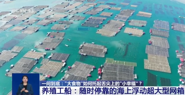 “大食物”如何托起舌尖上“小幸福”？水産養殖産業這樣發展