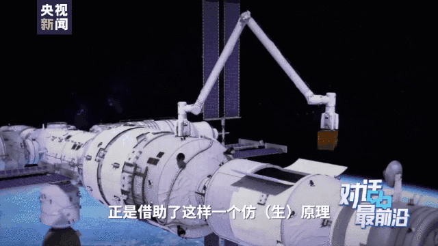 小昆蟲竟藏著國之重器的秘密……