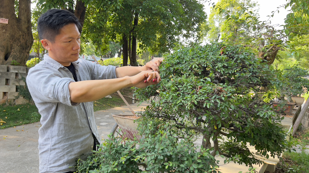 臺商二代陳岱明：逐父輩而來 築吾輩之夢