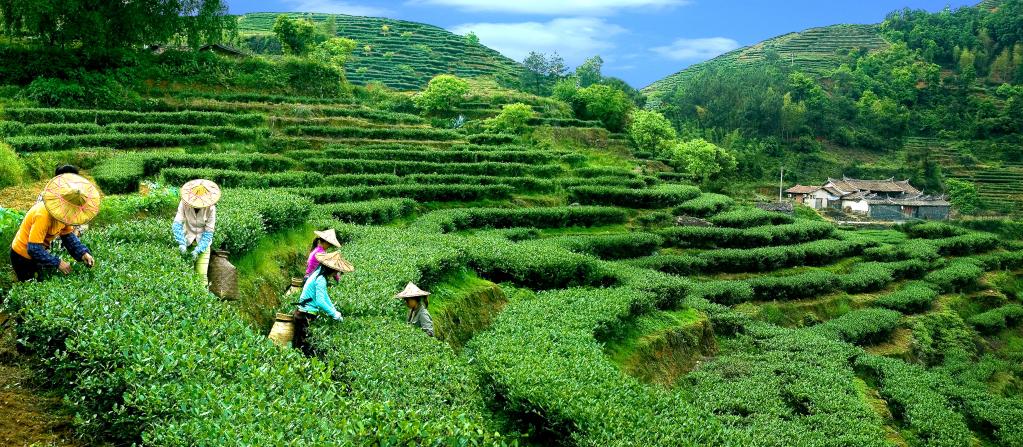 中國全球重要農業文化遺産增至18項數量居世界首位