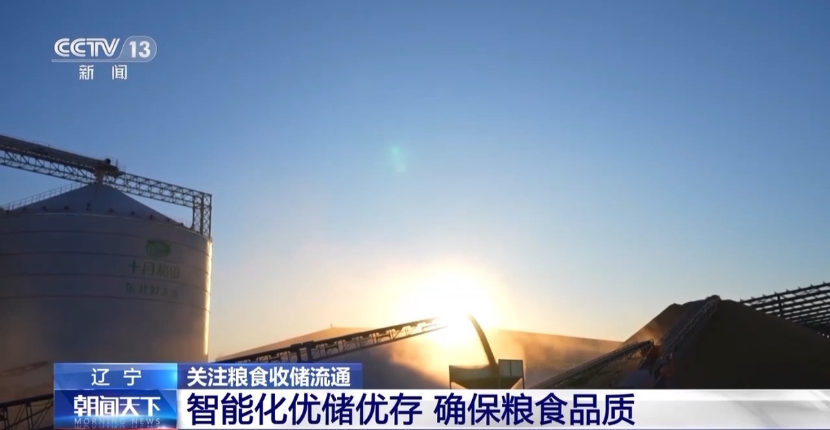 超6000萬噸！全國秋糧收購有序展開
