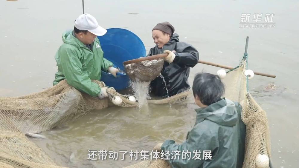 這152公里的長江岸線藏著怎樣的生態密碼？