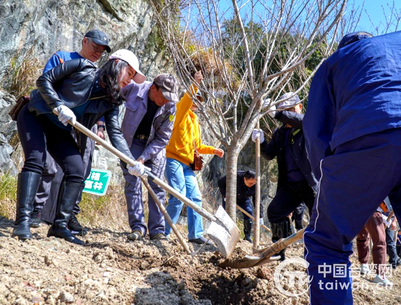 甬臺一家親，海曙臺商臺胞種下櫻花林