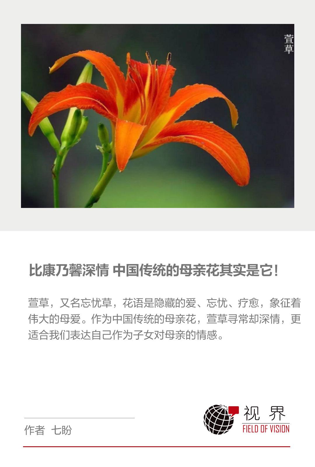 比康乃馨還深情，中國傳統的母親花其實是它！