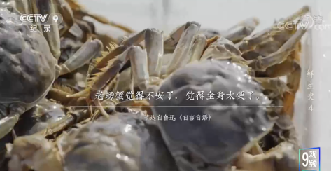 如何成為一名螃蟹雜學家？“沒用的”知識又增加了