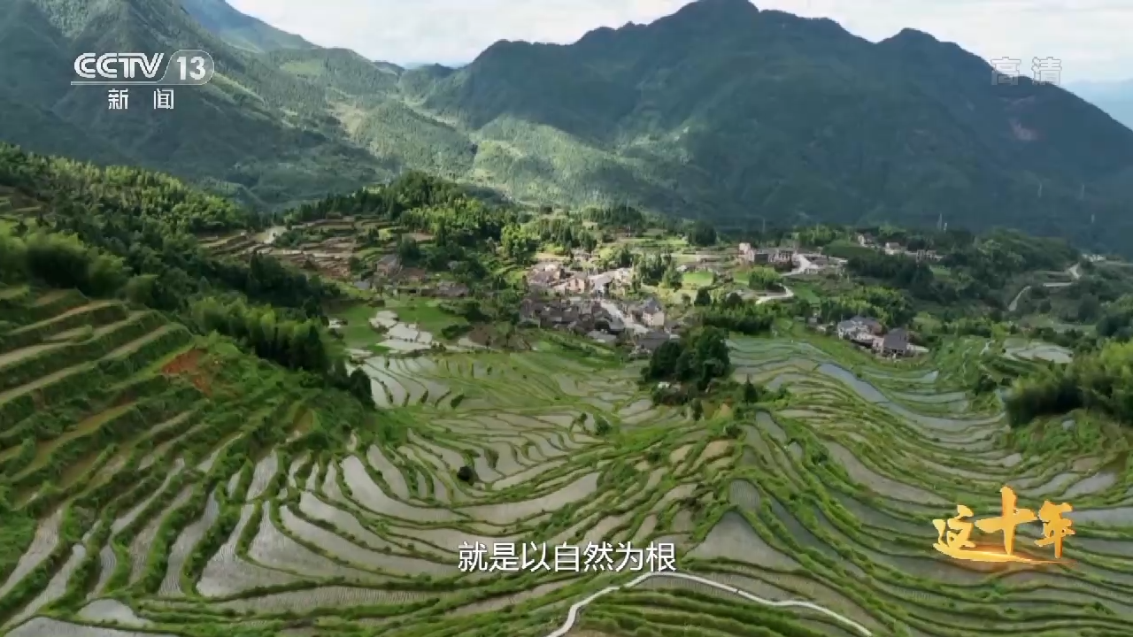 這十年丨美麗的中國