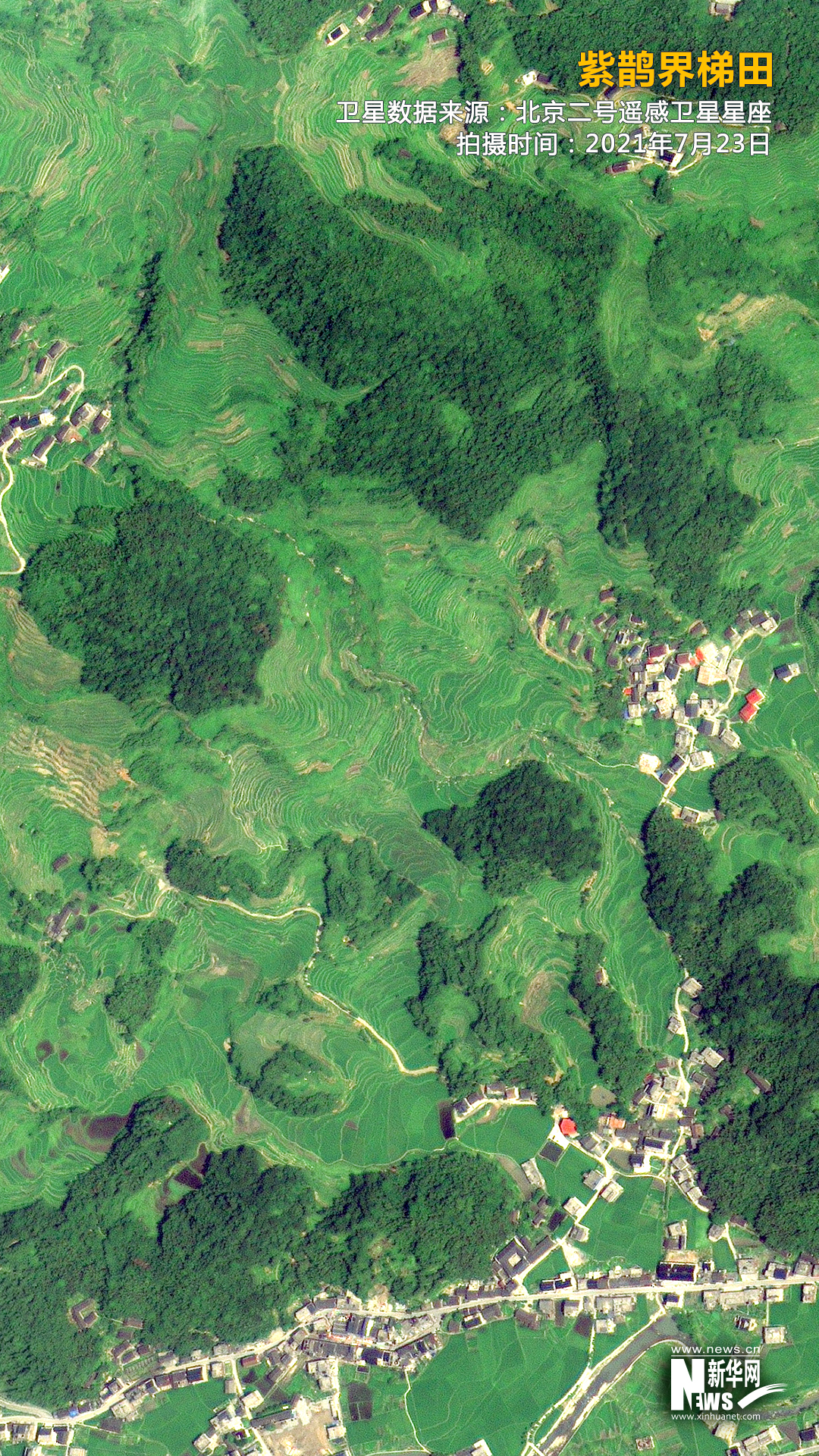 衛星“瞰”田丨梯田的實力超乎你的想像