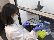 固優勢、補短板、開新局——香港全力打造創新科技産業新生態