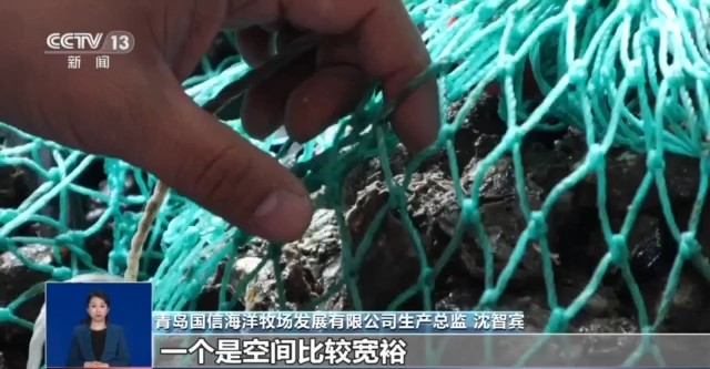 “大食物”如何托起舌尖上“小幸福”？水産養殖産業這樣發展