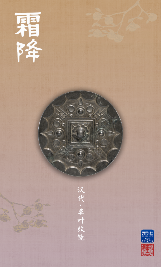 春華秋實，好“柿”成“霜”