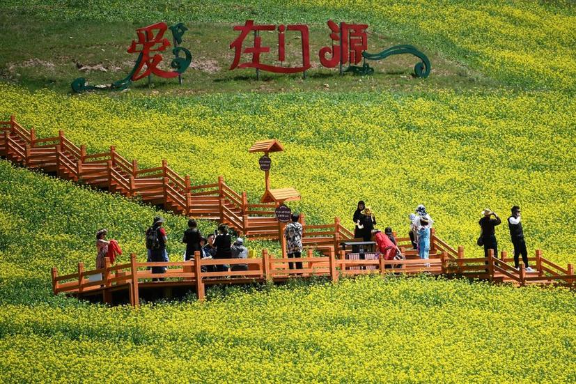 青海：以特色産業助力高品質發展