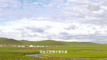 內蒙古億畝草原“帶薪休假”的背後
