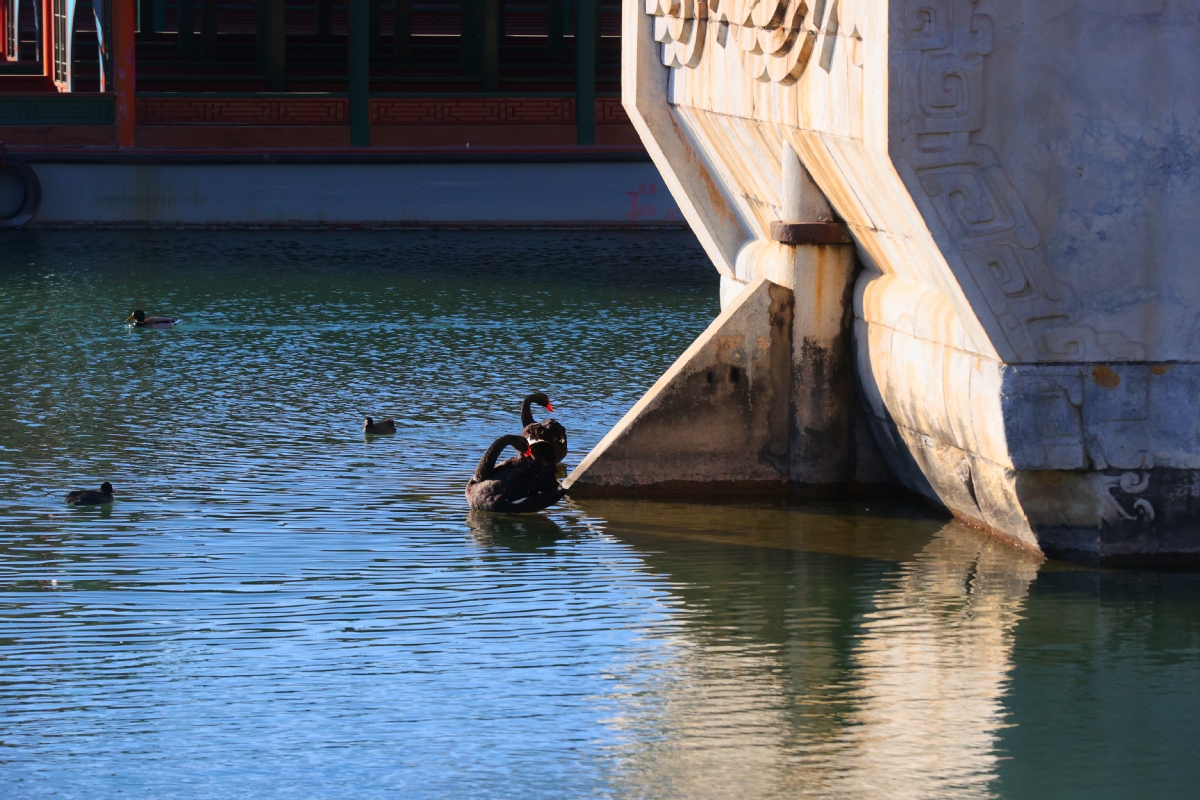 冬至日 頤和園“金光穿洞”迎來最美時刻 冬至日 頤和園“金光穿洞”迎來最美時刻