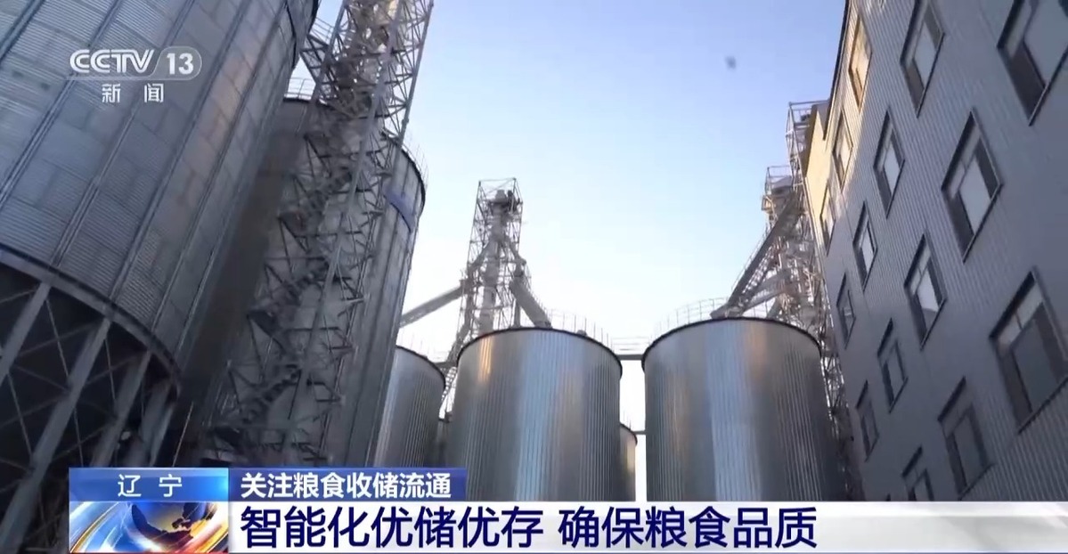 超6000萬噸！全國秋糧收購有序展開