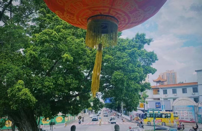 “臺胞憶清明”系列之三：“今年，我在女友家過清明”