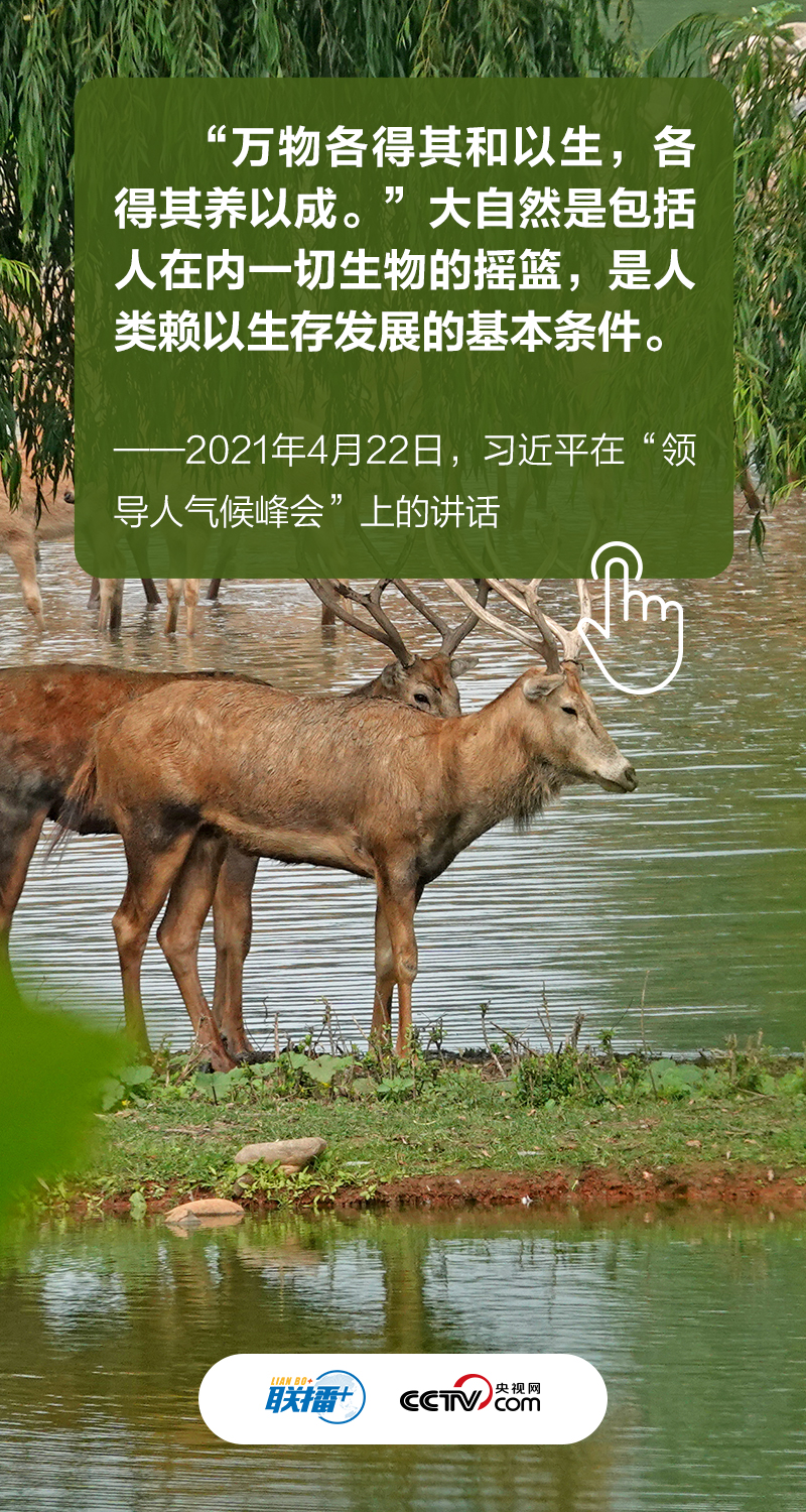 數説新時代｜共建萬物和諧的美麗家園