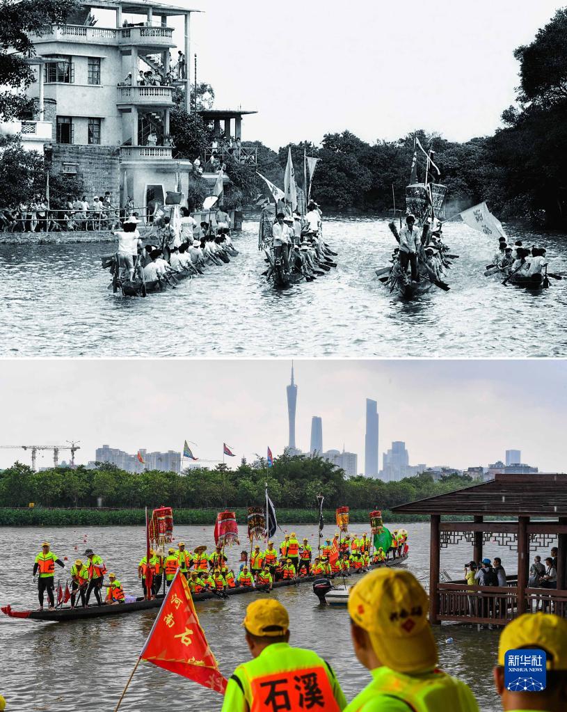 （新華全媒+）濕地之美丨廣州海珠濕地