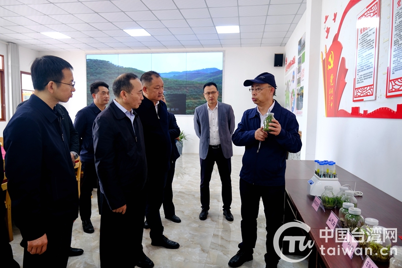 四川推動籌建“川臺鄉村振興合作園”探索賦能鄉村振興新路徑