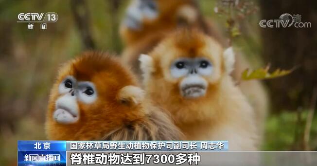 中國生物多樣性保護取得明顯成效 一起來感受生物多樣性之美！