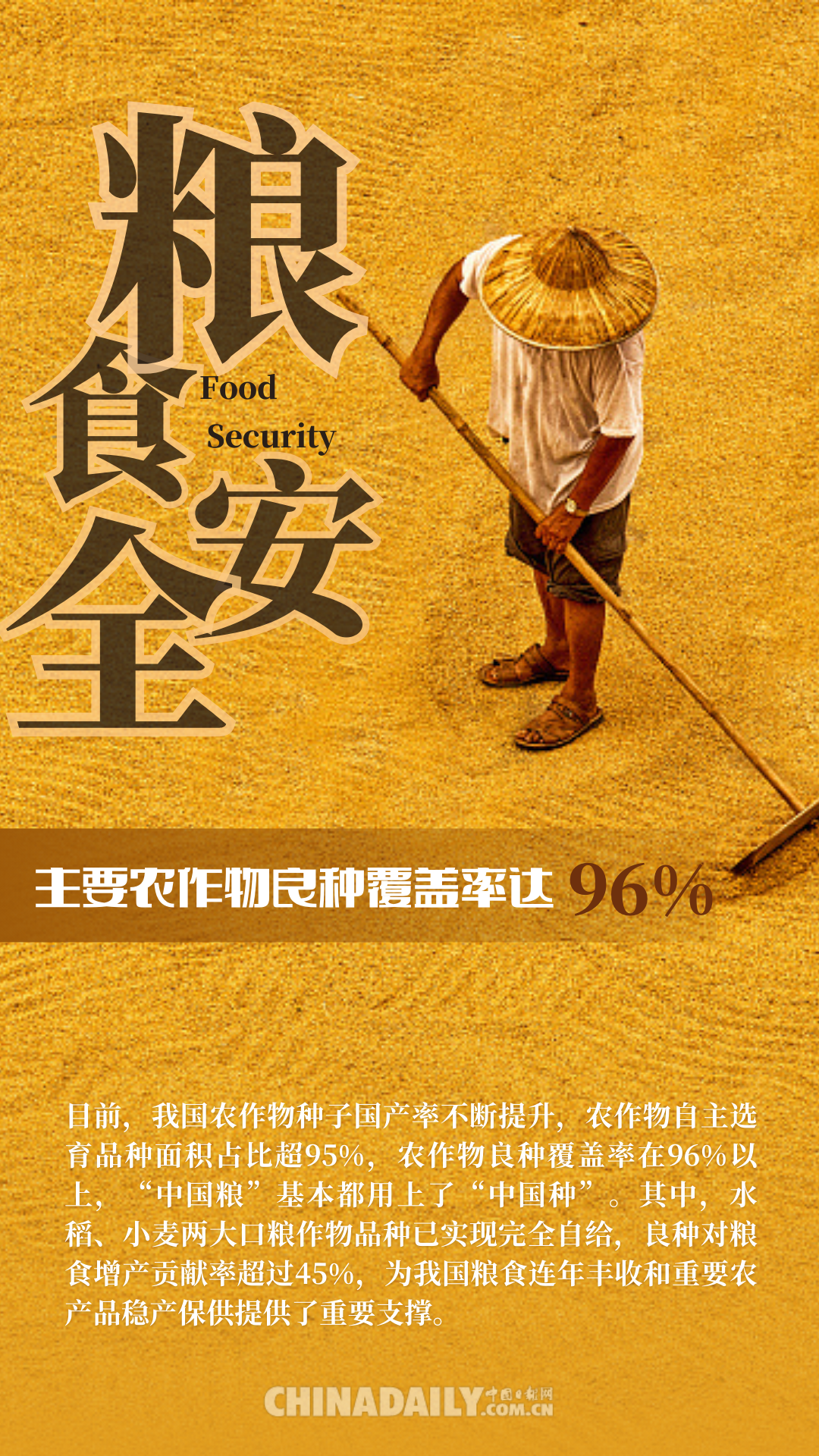 糧食安全根基牢 “中國飯碗”端的穩