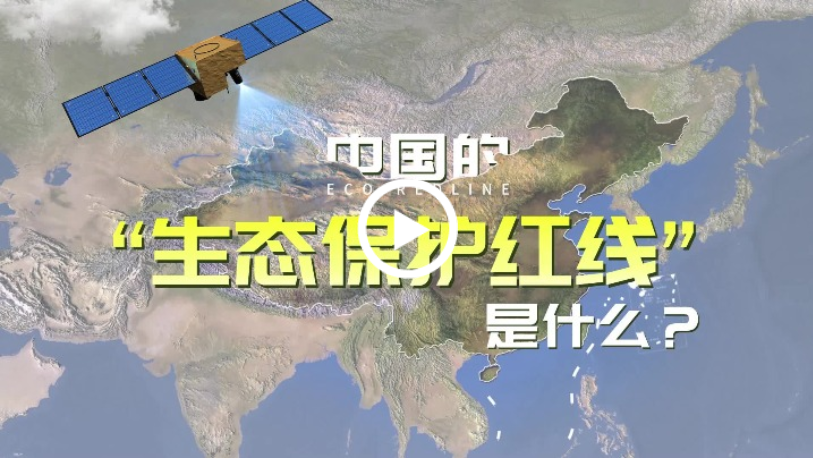 圖片默認標題_fororder_螢幕截圖_20221219_163304