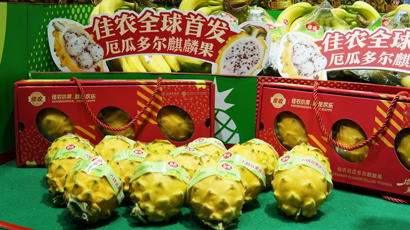從展品“蝶變”看進博“魔力”