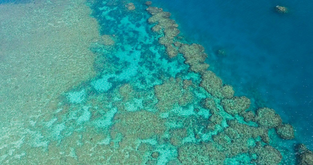 大堡礁列為瀕危世界遺産？聯合國專家與澳政府有分歧