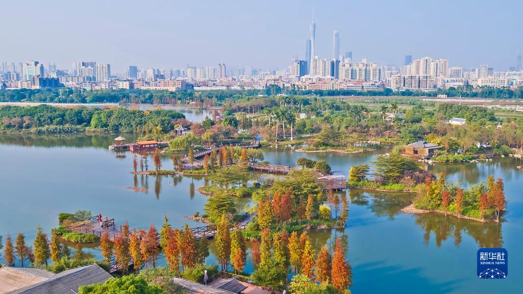 （新華全媒+）濕地之美丨廣州海珠濕地