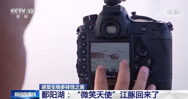 中國生物多樣性保護取得明顯成效 一起來感受生物多樣性之美！